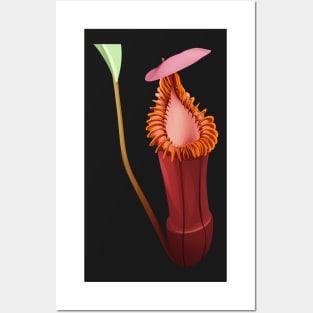 Nepenthes Edwardsiana | carnivorous plant | pitcher plant Posters and Art